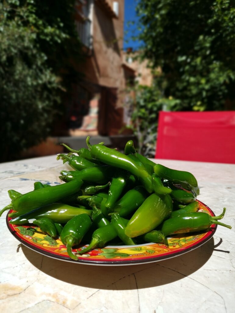 Jeux coquins pour raviver le désir